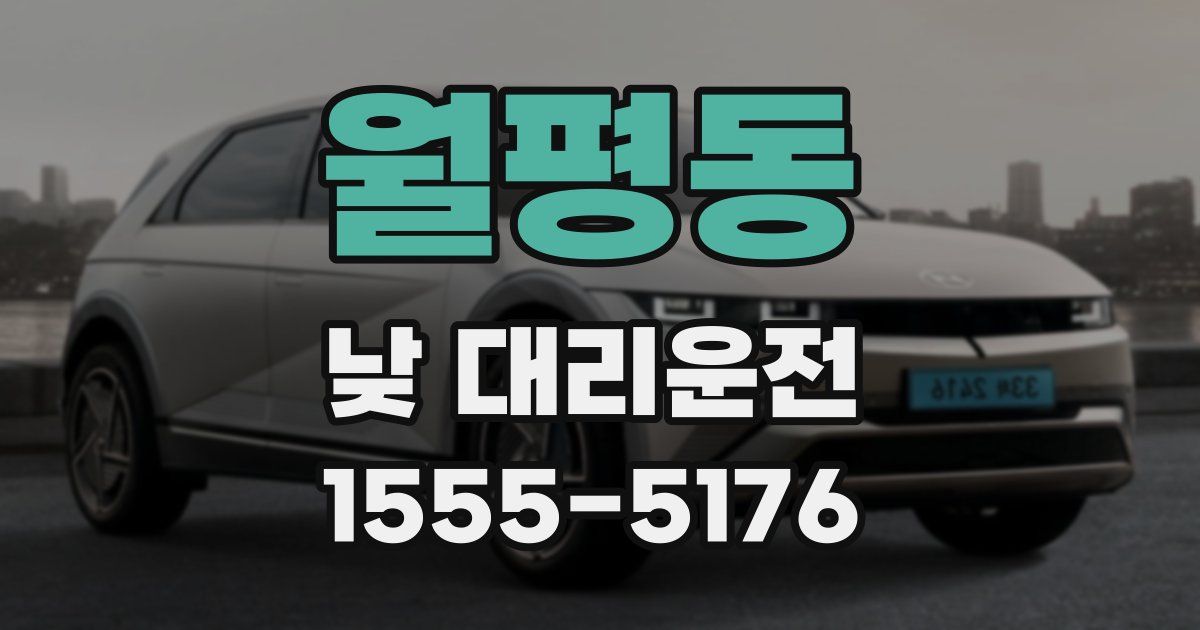 월평동 낮 대리운전