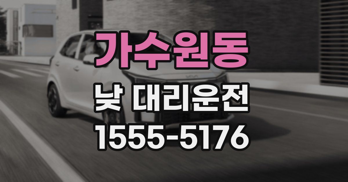 가수원동 낮 대리운전