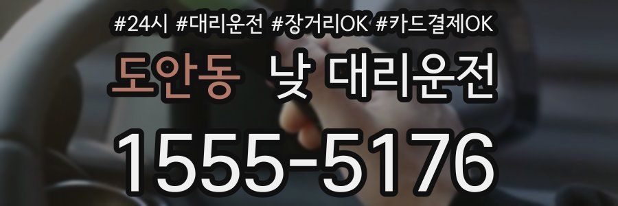 도안동 낮 대리운전