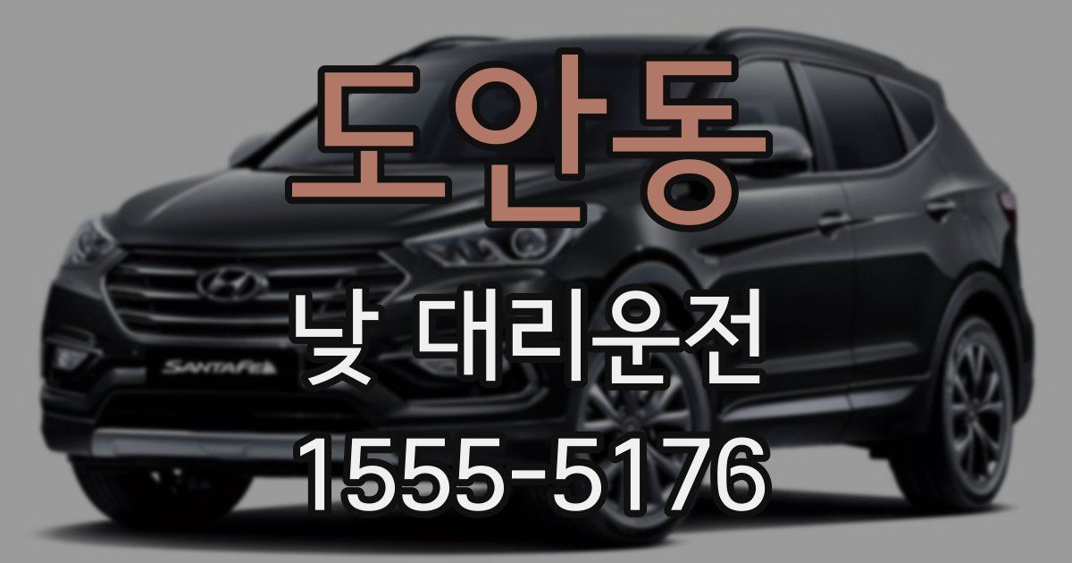 도안동 낮 대리운전