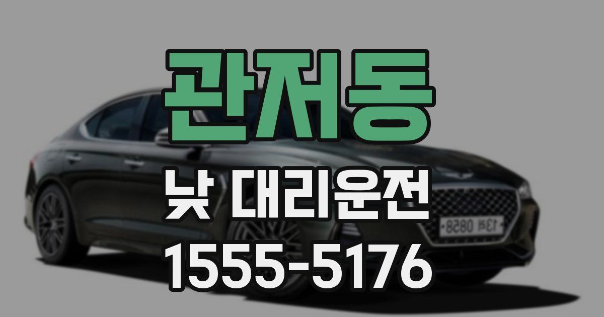관저동 낮 대리운전