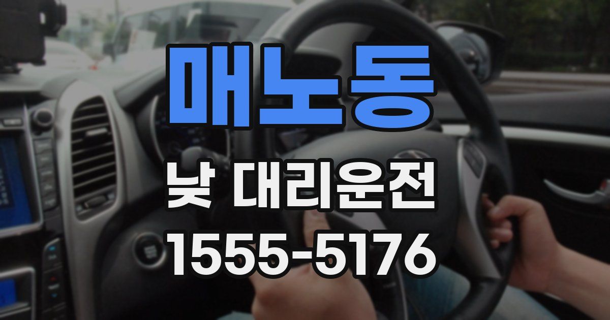 매노동 낮 대리운전