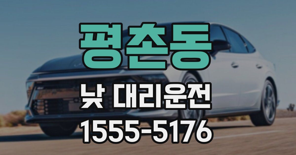 평촌동 낮 대리운전
