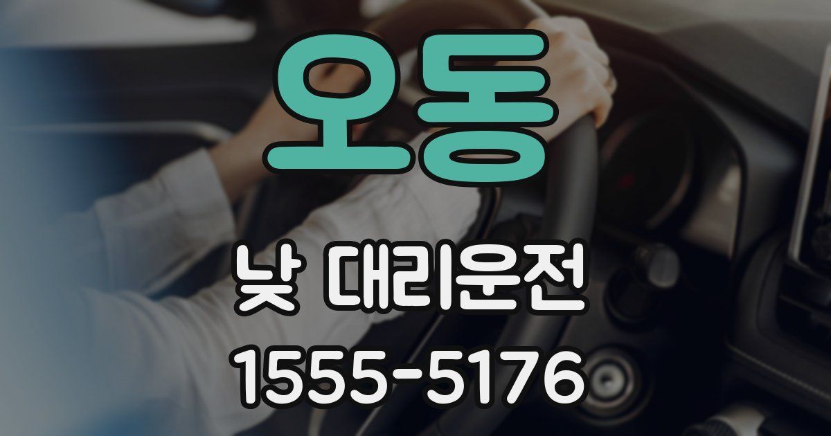 오동 낮 대리운전