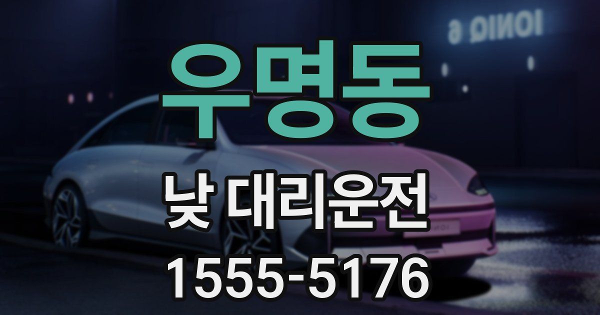 우명동 낮 대리운전