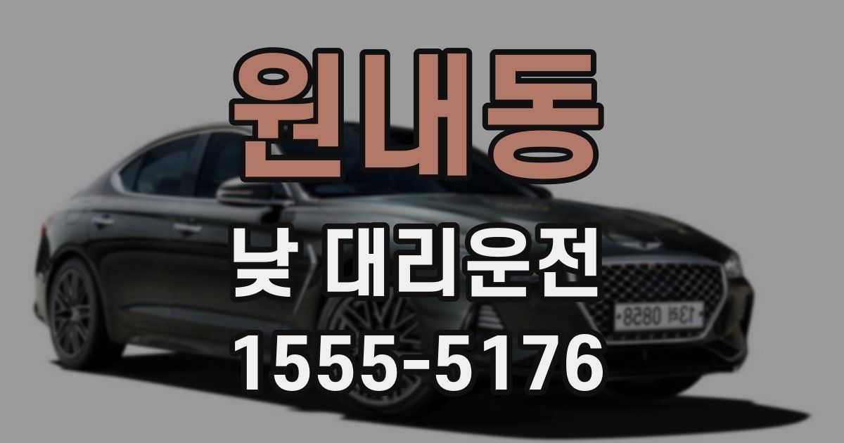 원내동 낮 대리운전