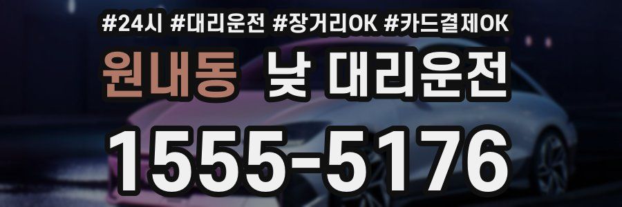원내동 낮 대리운전