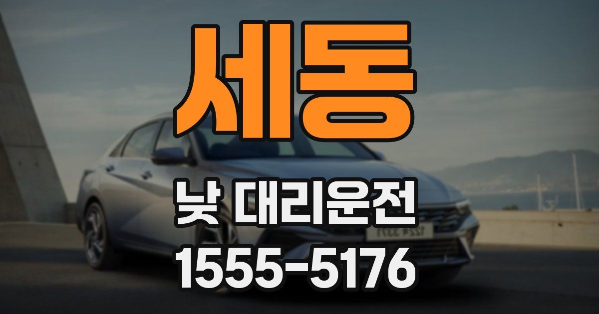 세동 낮 대리운전
