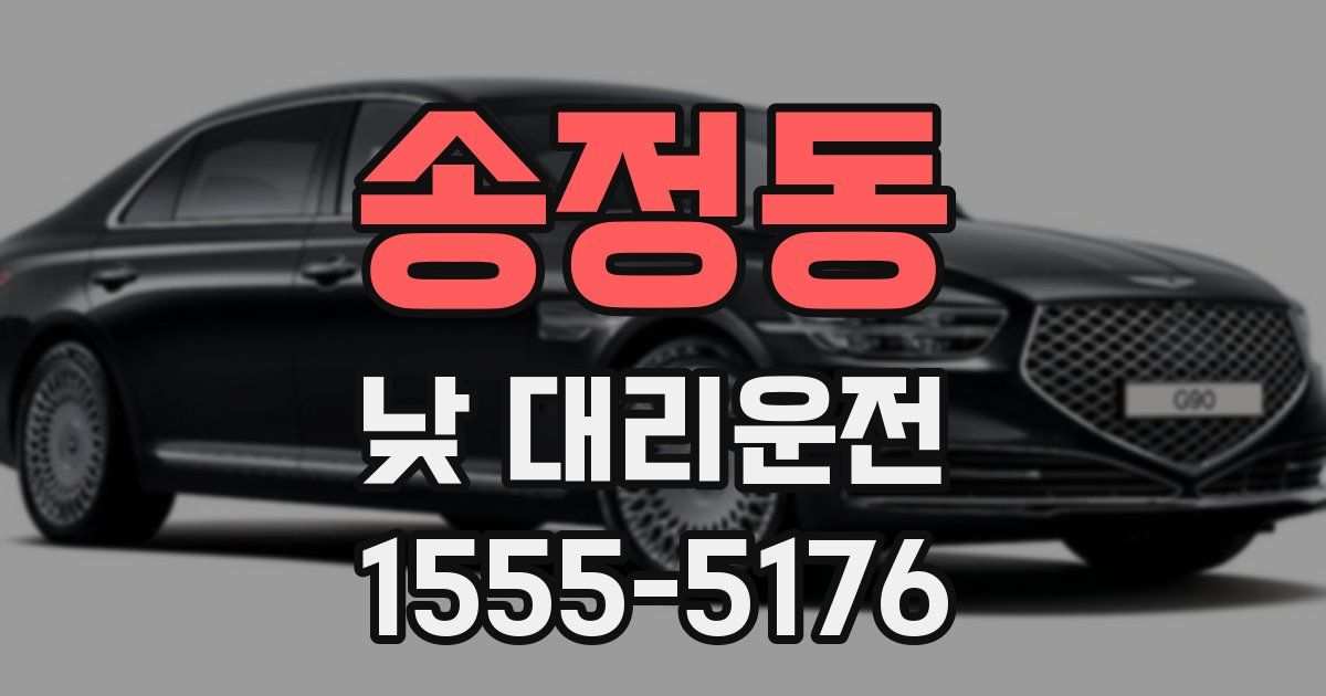 송정동 낮 대리운전