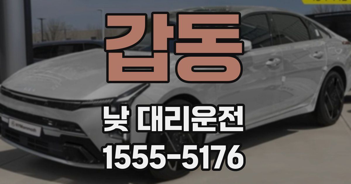 갑동 낮 대리운전