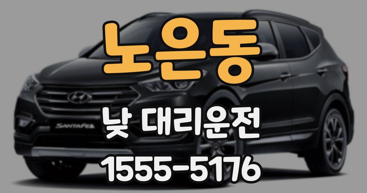 노은동 낮 대리운전