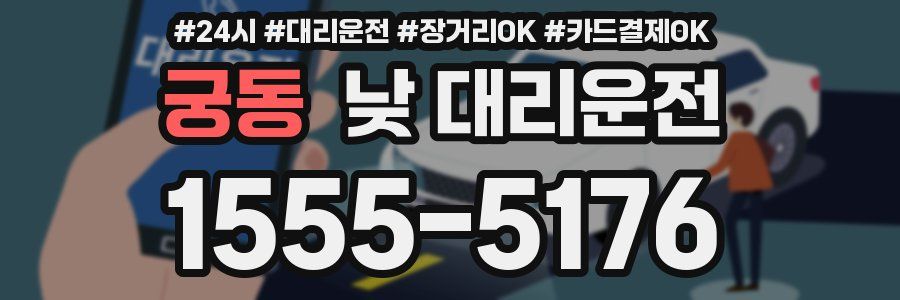궁동 낮 대리운전