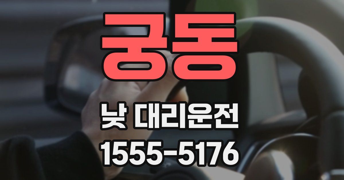 궁동 낮 대리운전
