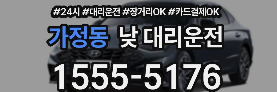 가정동 낮 대리운전