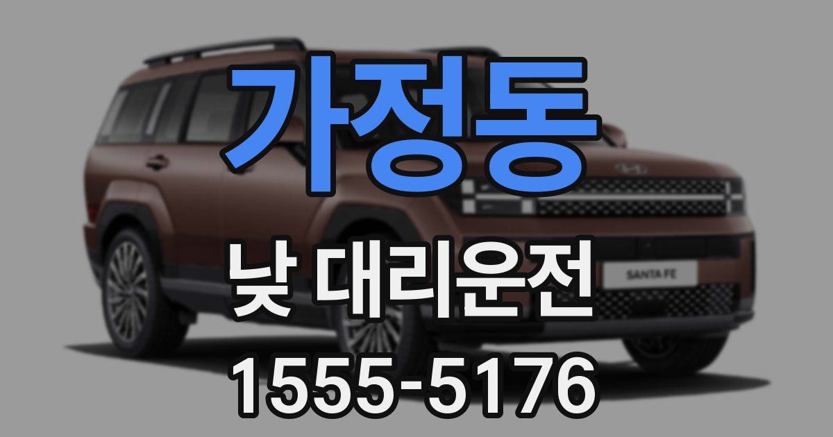 가정동 낮 대리운전