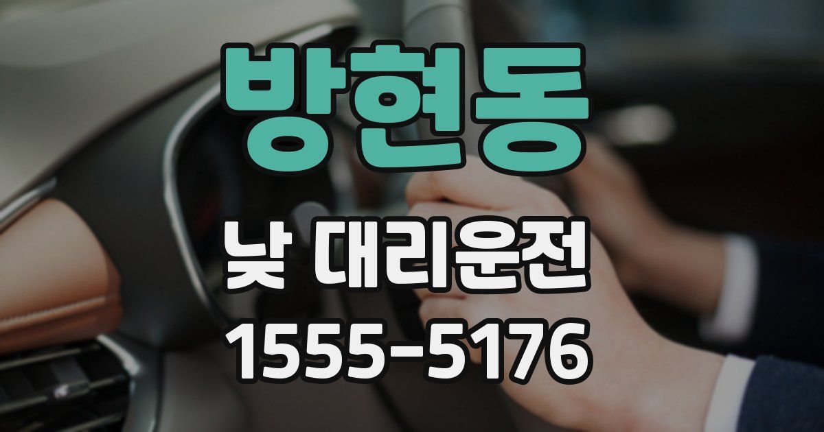 방현동 낮 대리운전