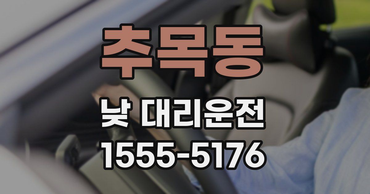 추목동 낮 대리운전
