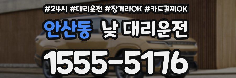 안산동 낮 대리운전