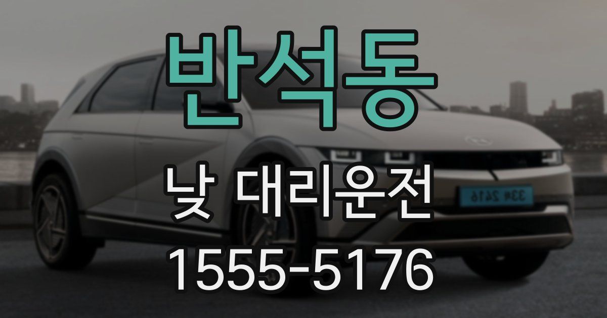 반석동 낮 대리운전