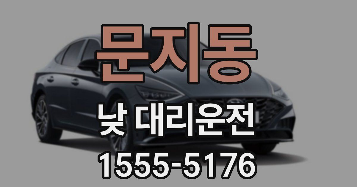 문지동 낮 대리운전