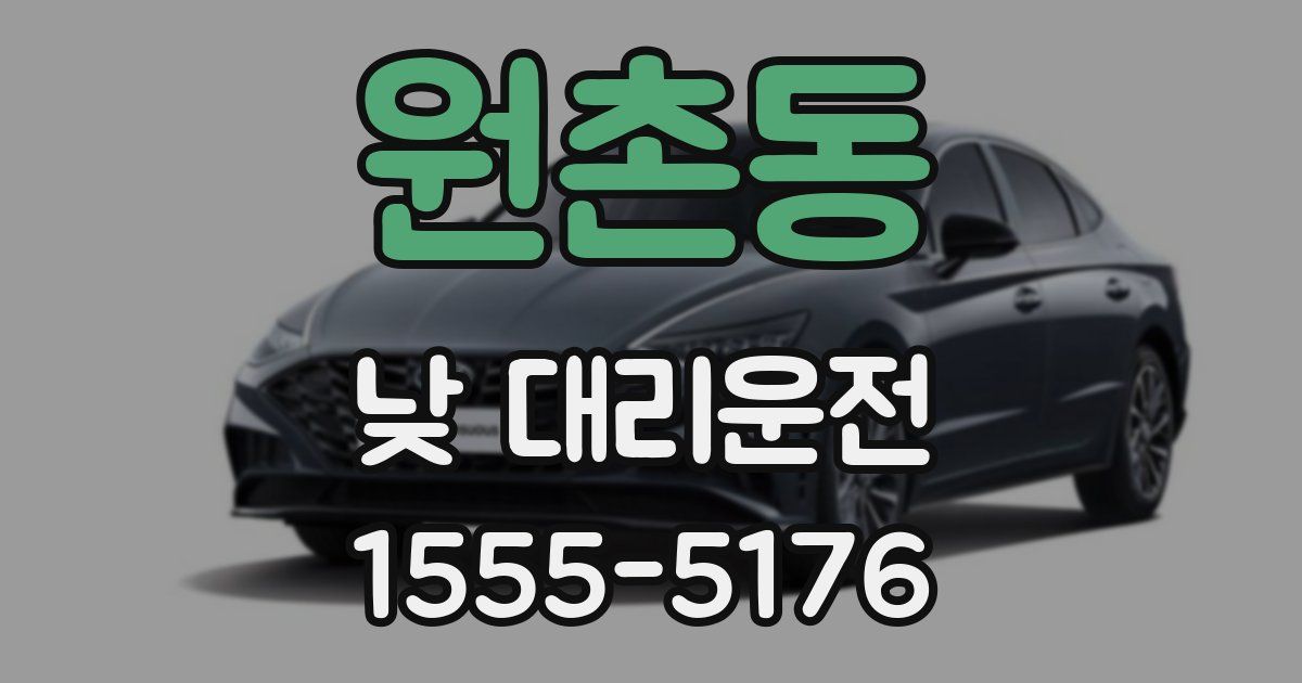 원촌동 낮 대리운전
