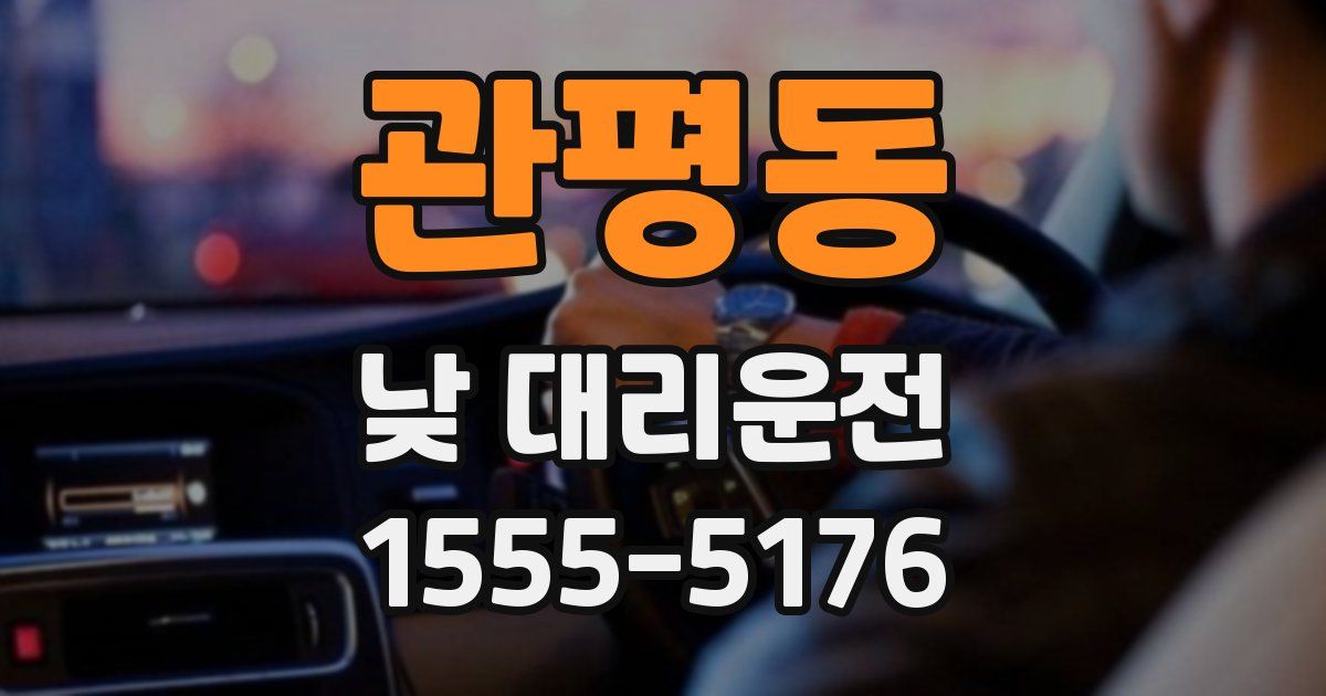 관평동 낮 대리운전
