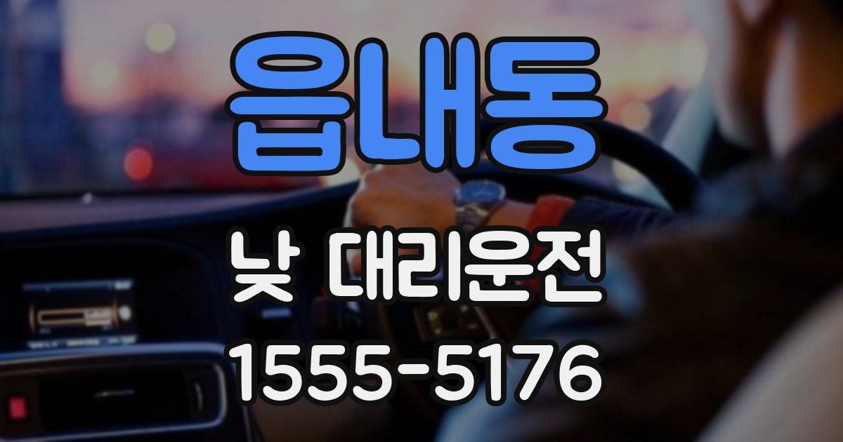 읍내동 낮 대리운전