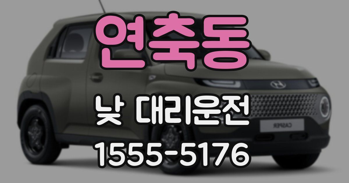 연축동 낮 대리운전