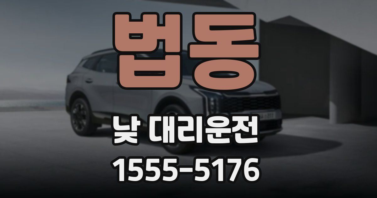 법동 낮 대리운전