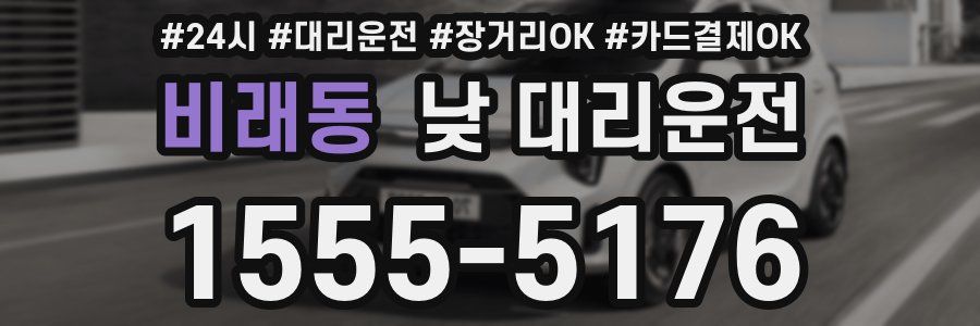 비래동 낮 대리운전