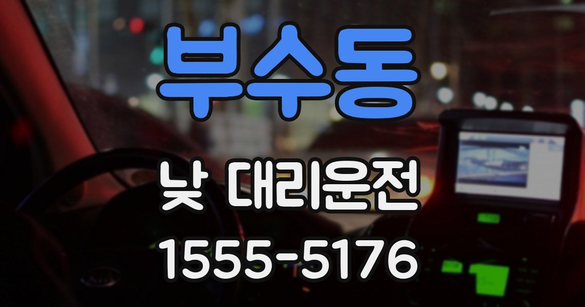 부수동 낮 대리운전