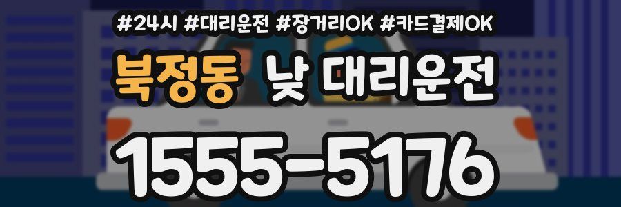 북정동 낮 대리운전