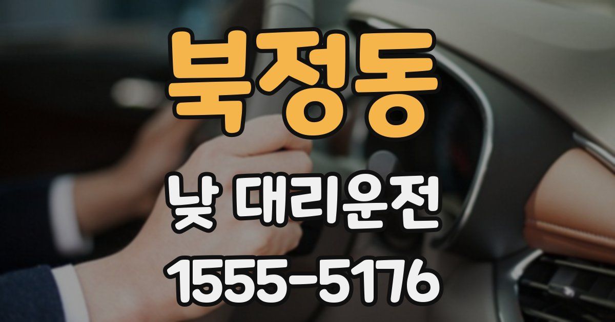 북정동 낮 대리운전