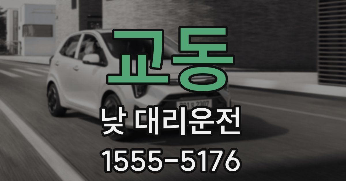 교동 낮 대리운전