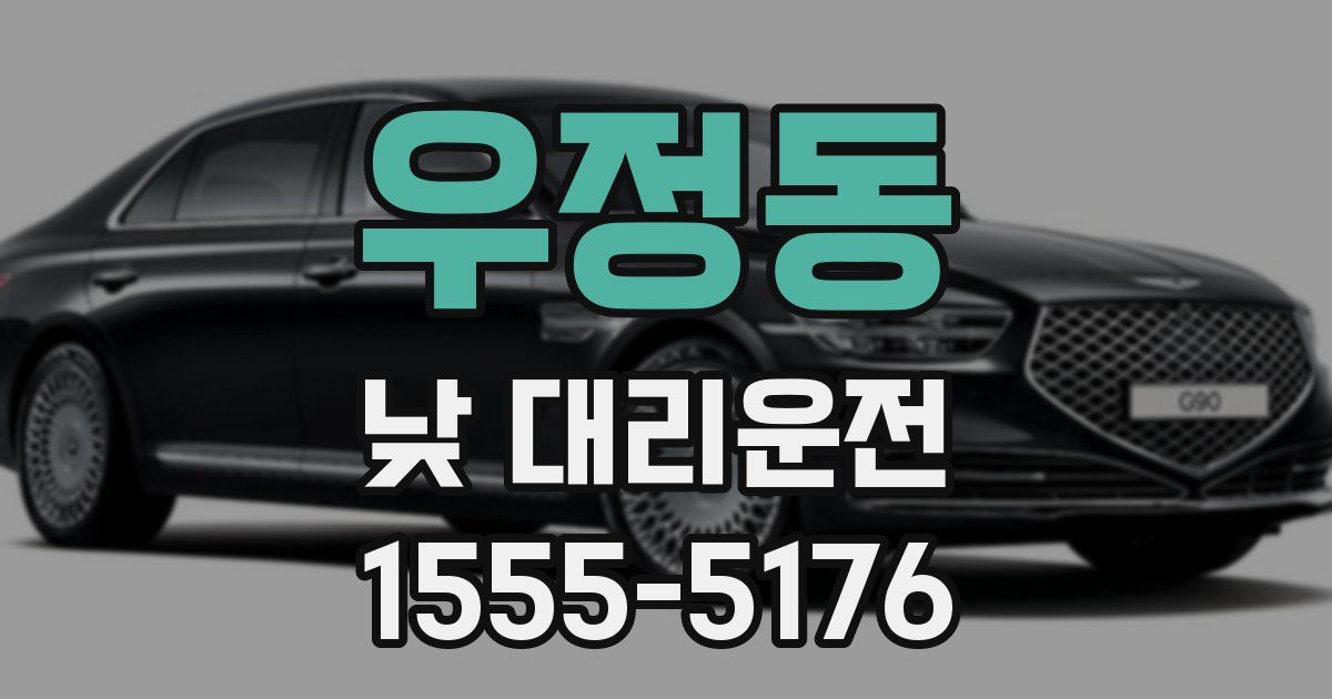우정동 낮 대리운전