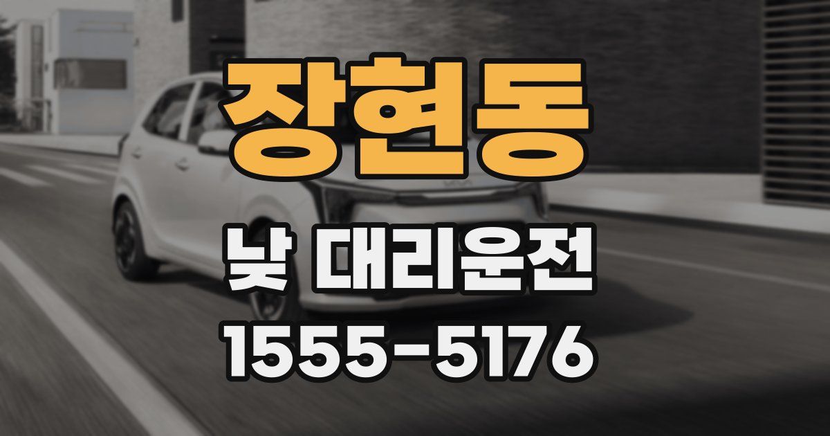 장현동 낮 대리운전