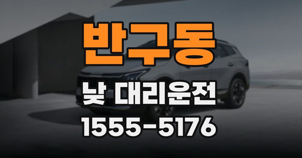 반구동 낮 대리운전