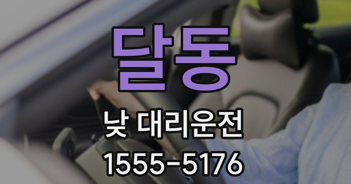 달동 낮 대리운전