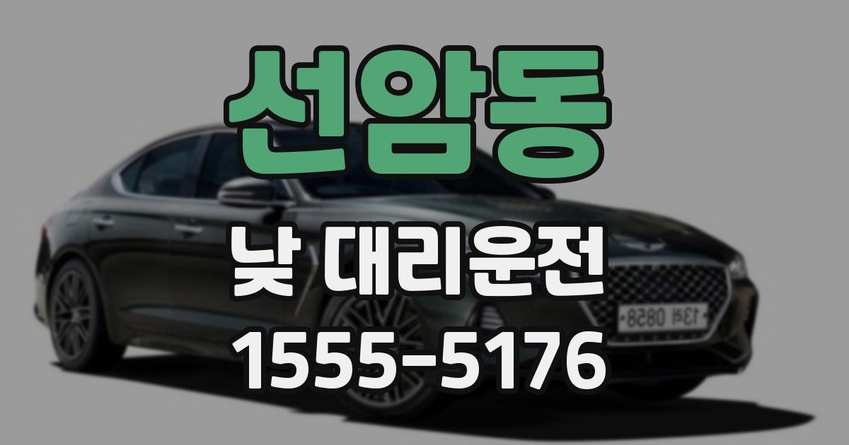 선암동 낮 대리운전