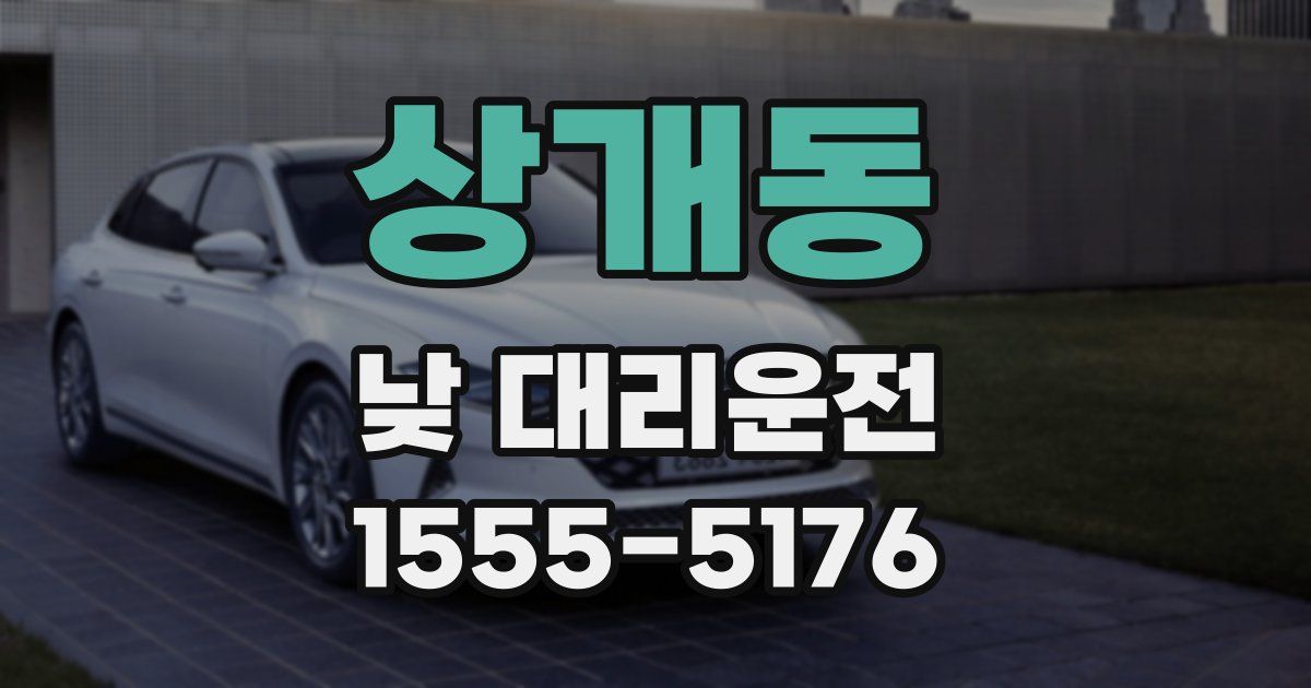상개동 낮 대리운전