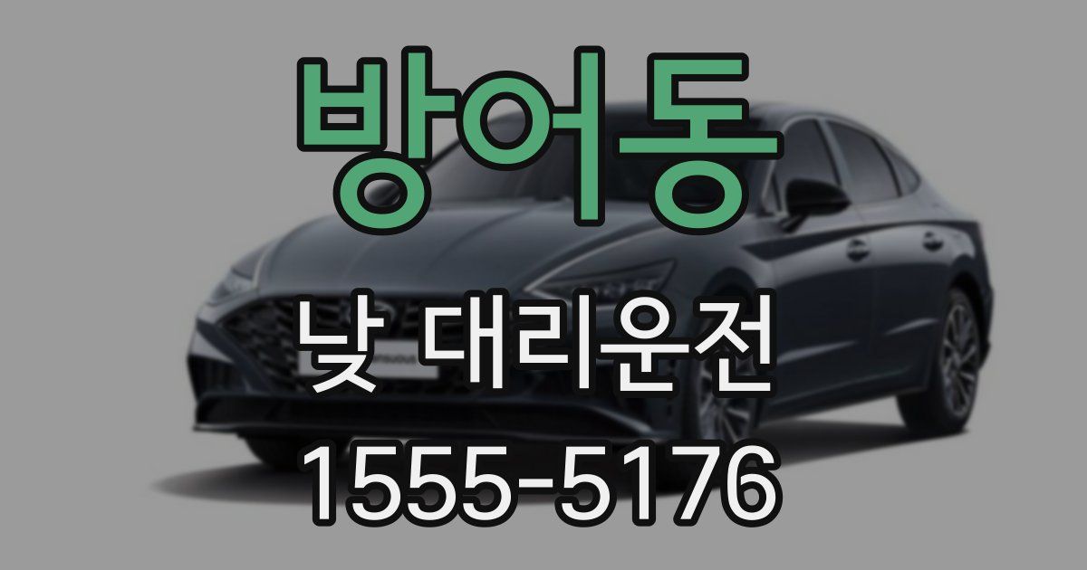 방어동 낮 대리운전