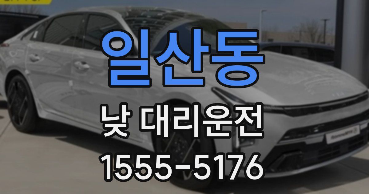 일산동 낮 대리운전