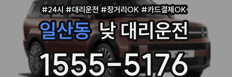 일산동 낮 대리운전