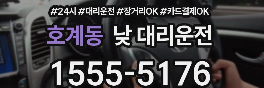 호계동 낮 대리운전