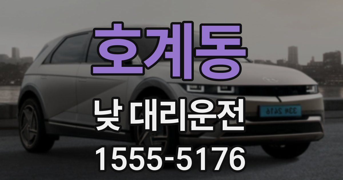 호계동 낮 대리운전