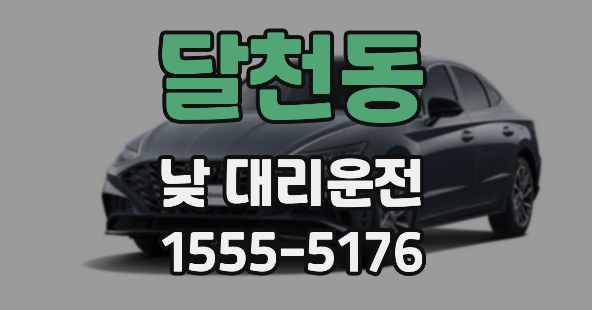 달천동 낮 대리운전