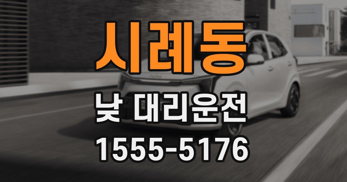 시례동 낮 대리운전
