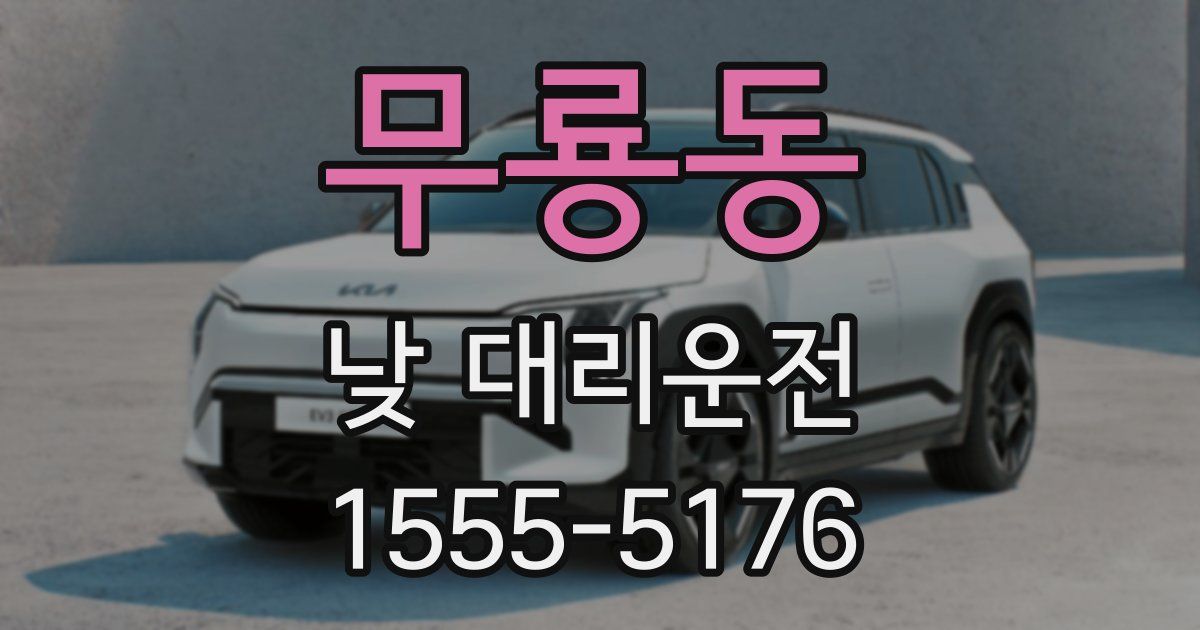 무룡동 낮 대리운전