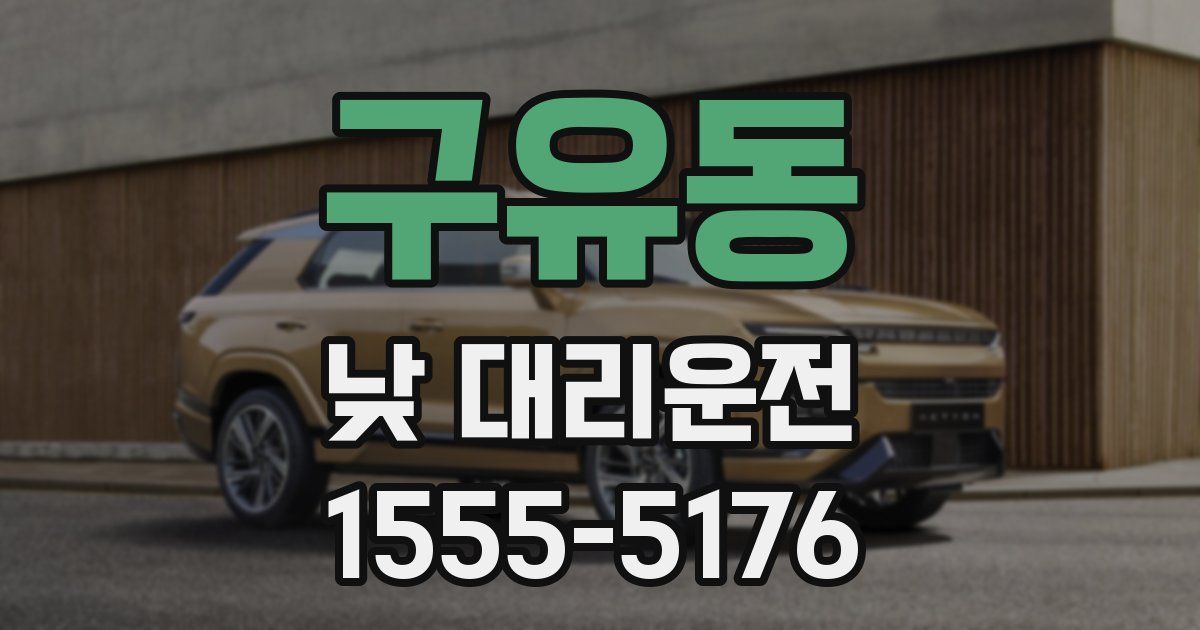 구유동 낮 대리운전