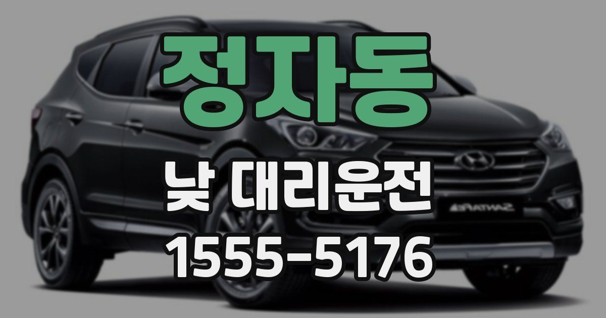 정자동 낮 대리운전